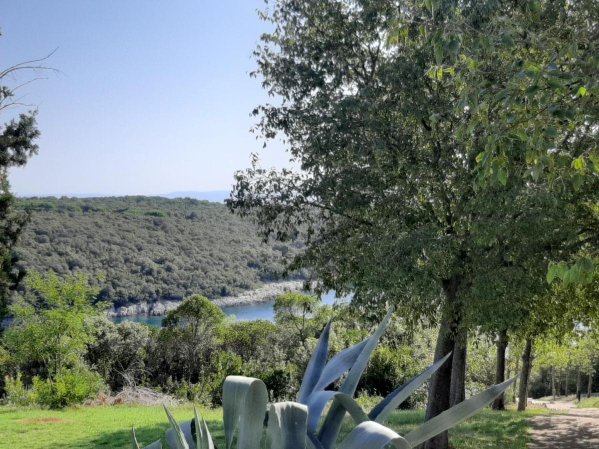 Unija Duga Uvala Apartment
